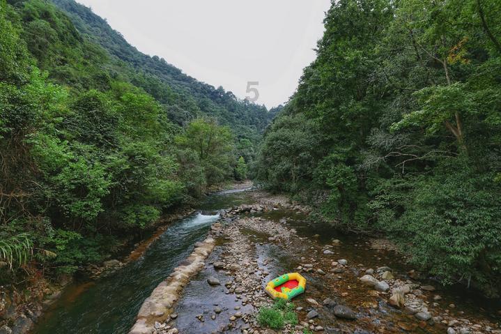 虫虫助手下载