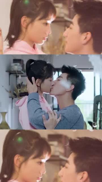 拯救受伤的猫