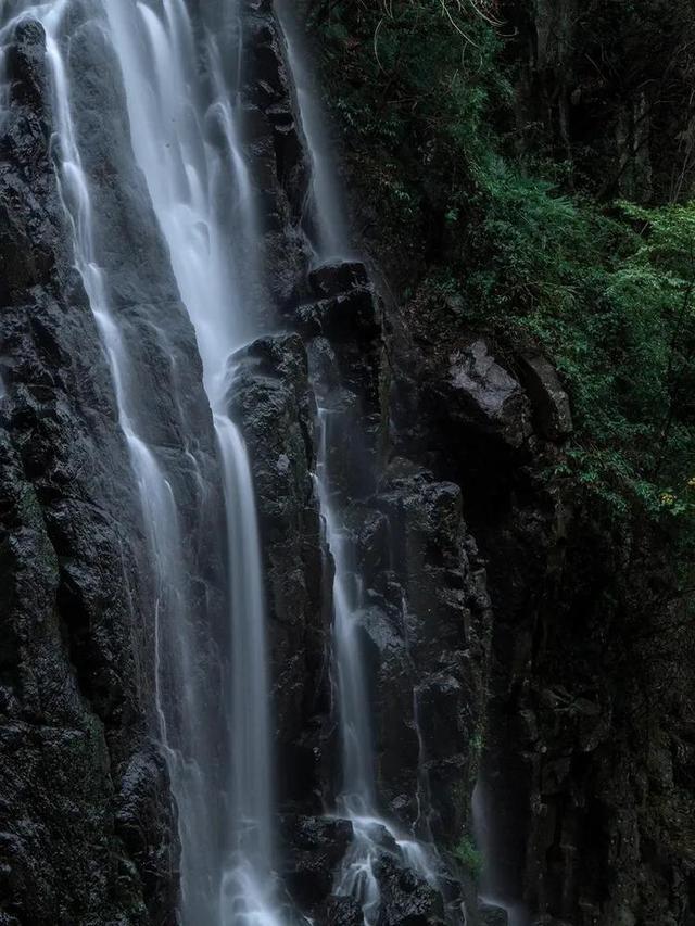 逃出漂亮花谷
