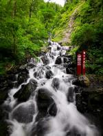 黄岩举行首届荸荠节
