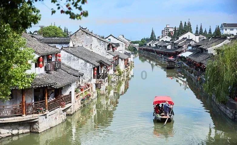 主人偷偷亲了母金毛一口，一旁的公金毛这表情才叫生无可恋